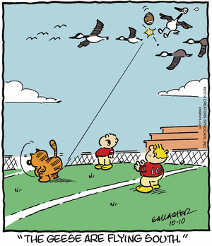 heathcliff